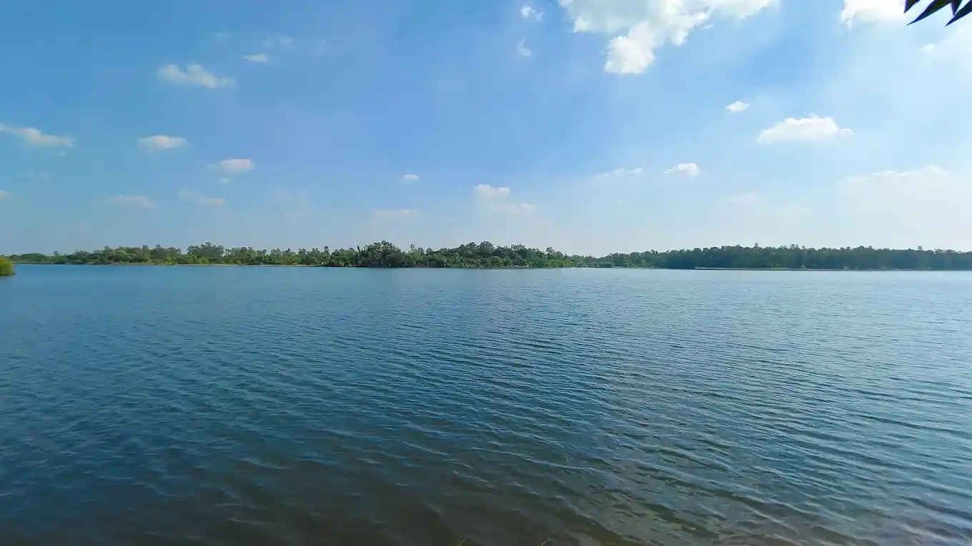 A Tranquil Ride on the Blue