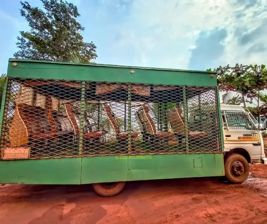 Safari Experience