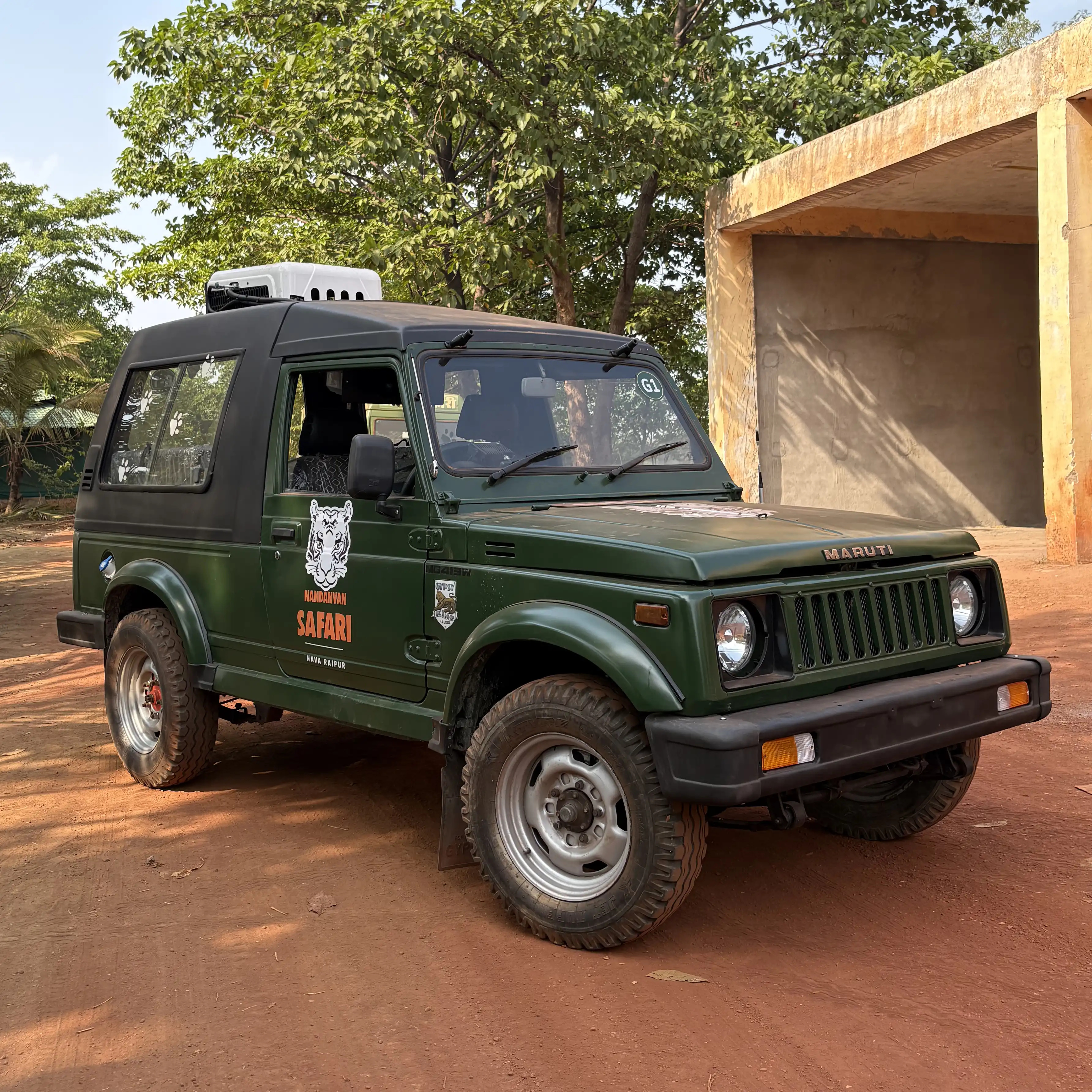 Safari Experience