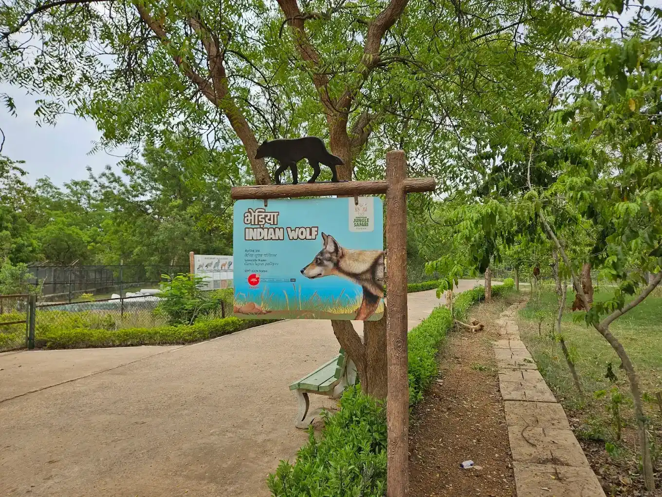 Conservation & Education Focus